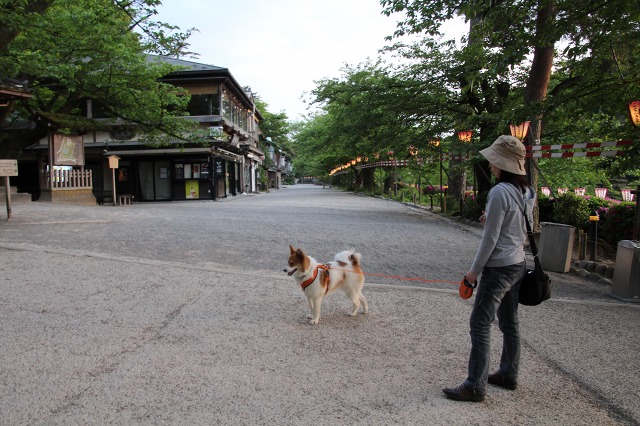 ファイル 86-1.jpg