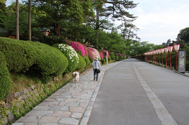 ファイル 86-2.jpg