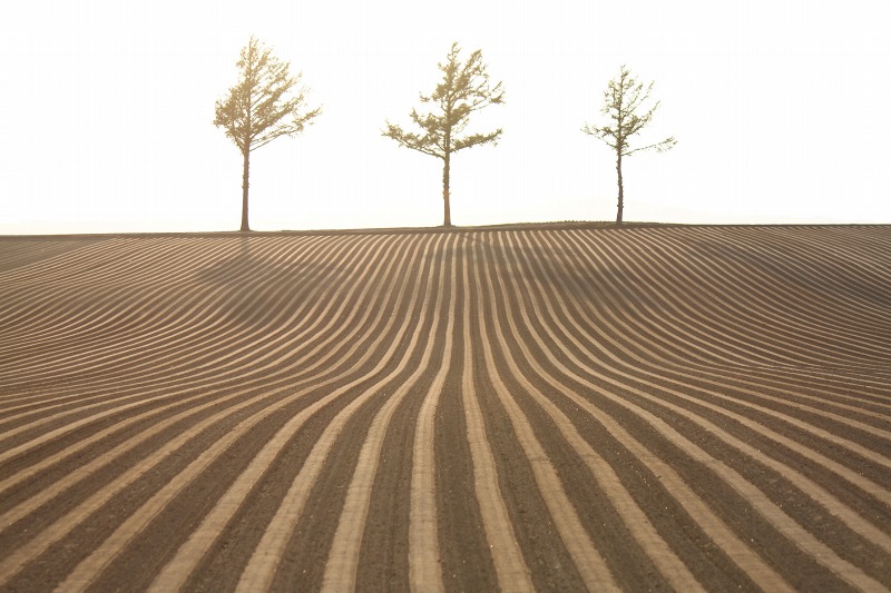 ファイル 87-1.jpg