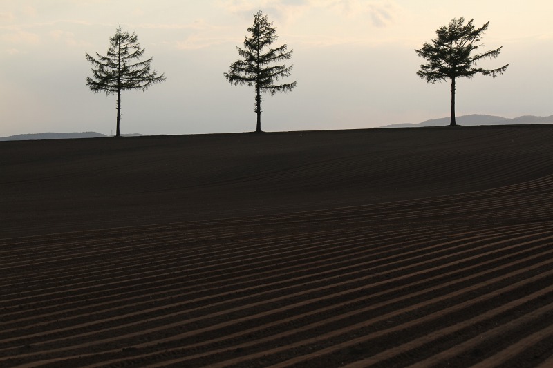 ファイル 87-2.jpg