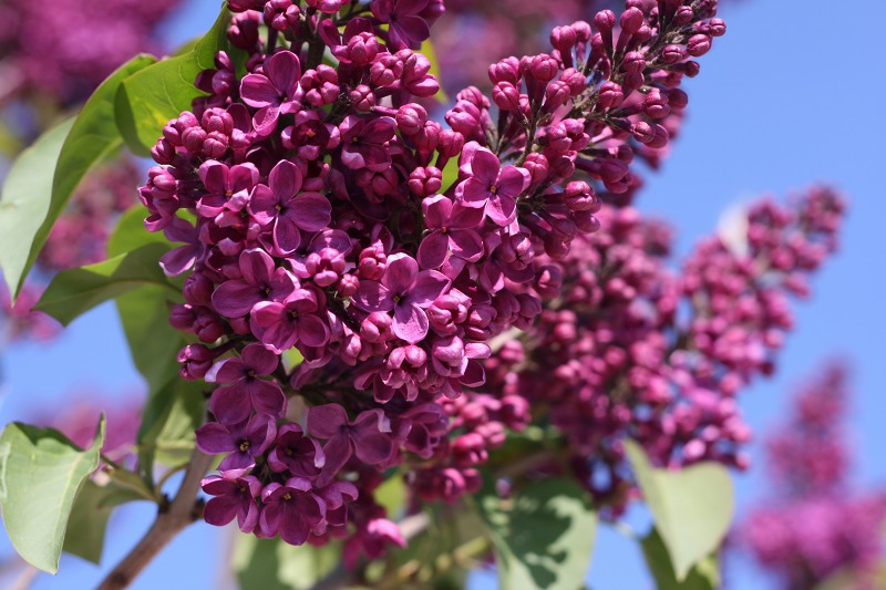 ファイル 88-1.jpg