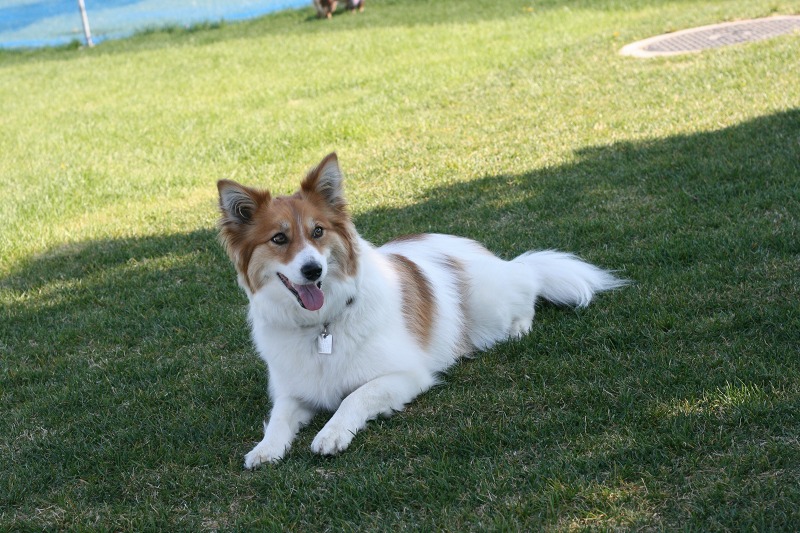 ファイル 88-2.jpg