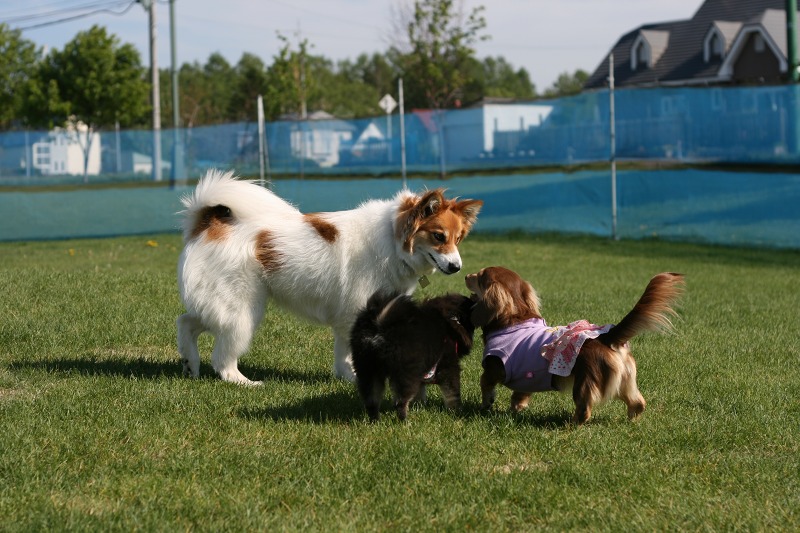 ファイル 88-3.jpg