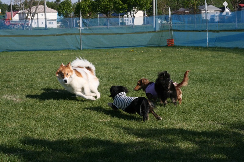 ファイル 88-4.jpg