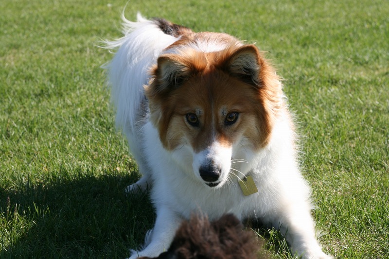 ファイル 88-5.jpg