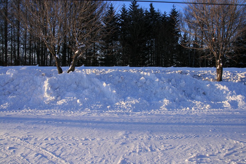 ファイル 9-1.jpg