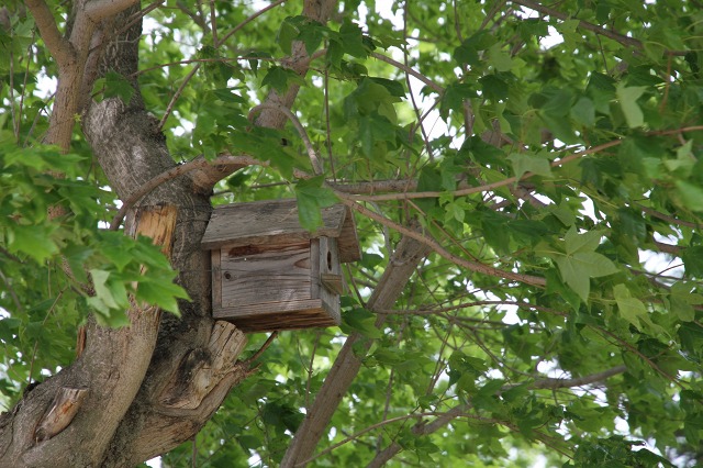 ファイル 90-3.jpg