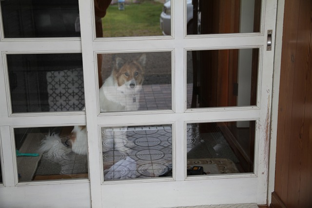 ファイル 90-4.jpg