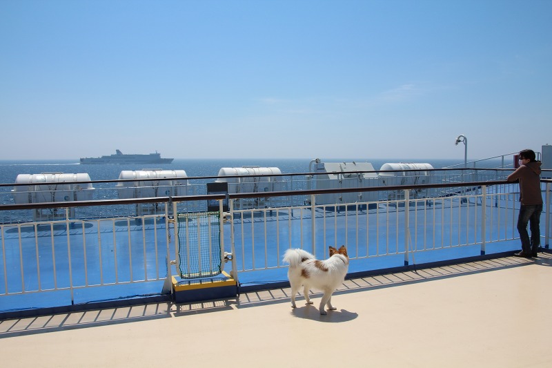 ファイル 91-3.jpg