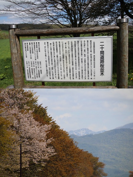 ファイル 94-1.jpg