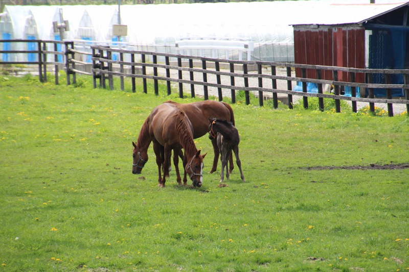 ファイル 94-2.jpg