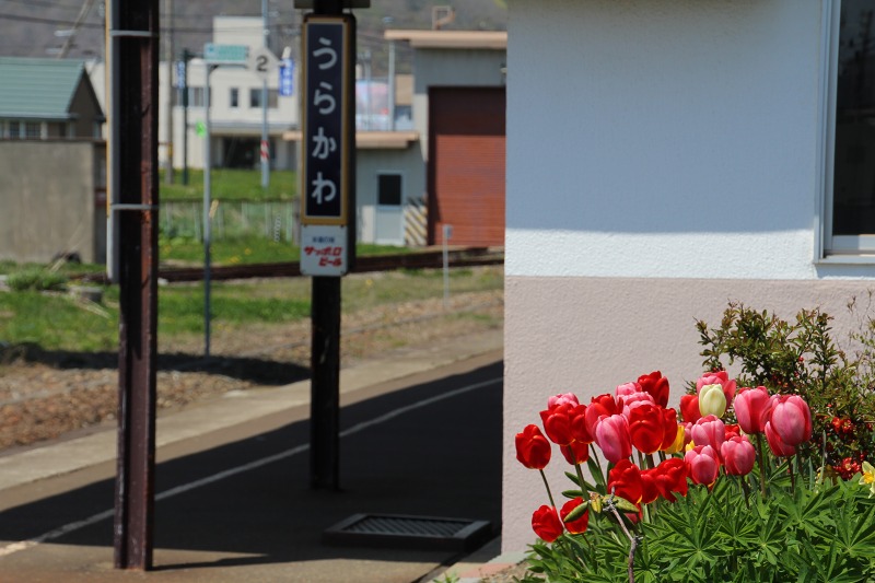 ファイル 94-4.jpg