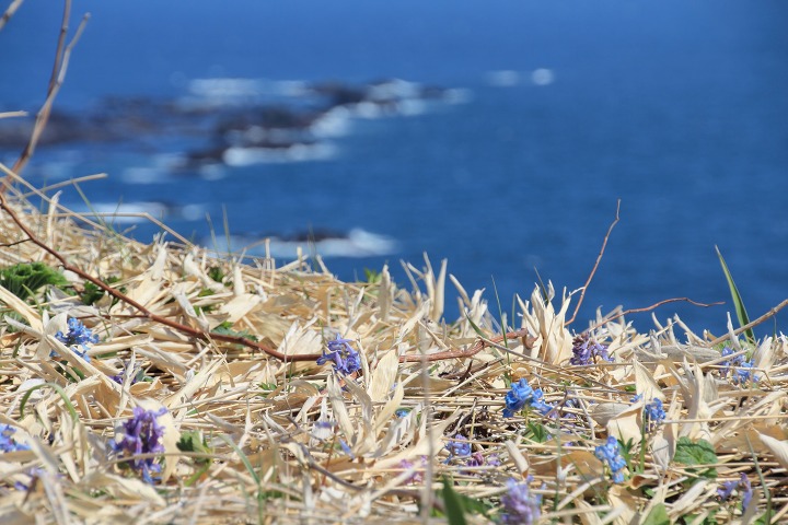 ファイル 96-4.jpg