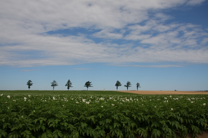 ファイル 100-2.jpg