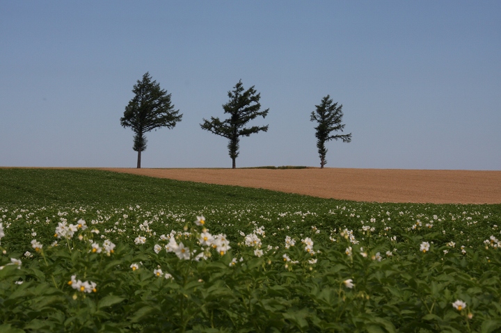 ファイル 100-3.jpg