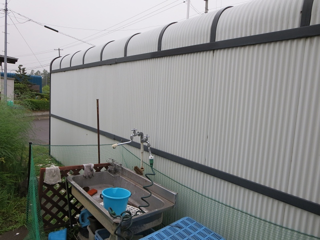 ファイル 101-1.jpg