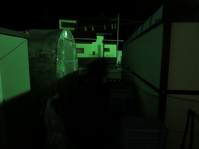 ファイル 101-6.jpg