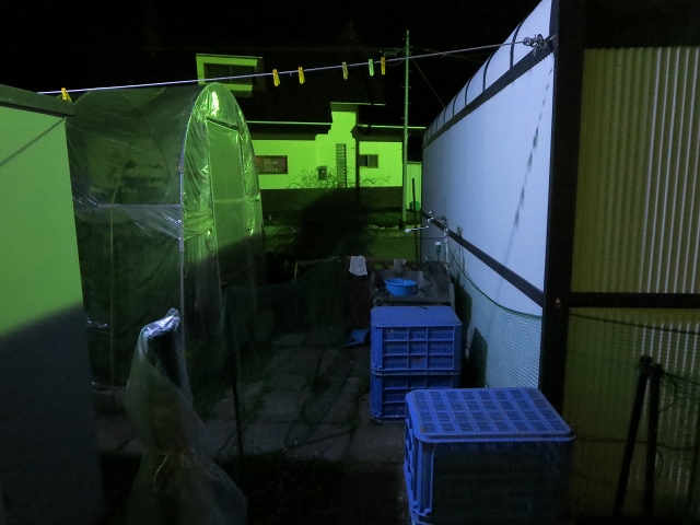 ファイル 101-7.jpg