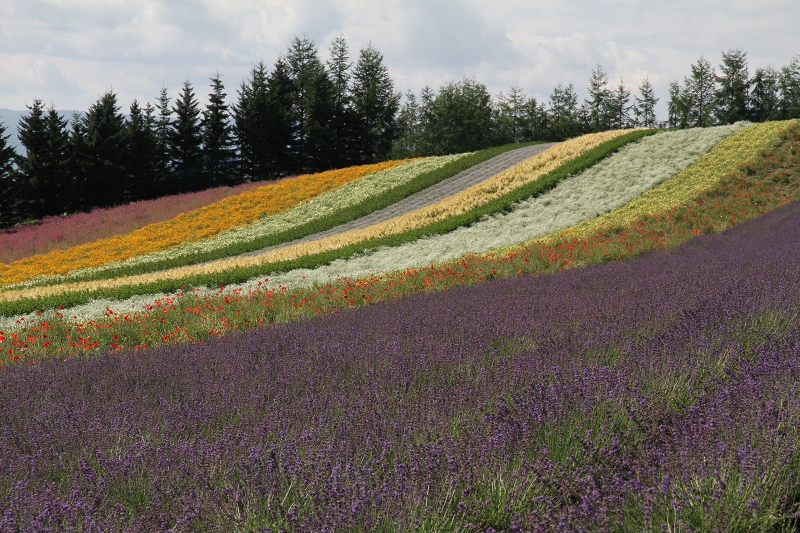 ファイル 102-1.jpg