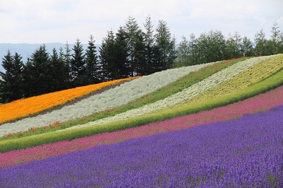 ファイル 102-2.jpg