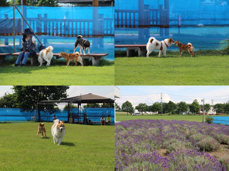 ファイル 103-5.jpg