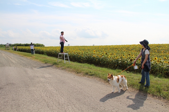 ファイル 103-6.jpg