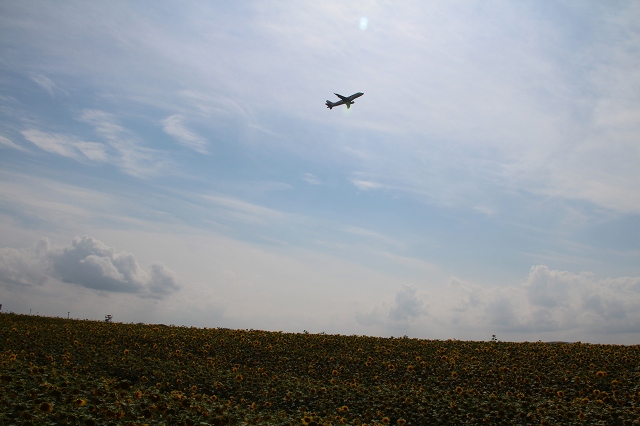 ファイル 103-7.jpg