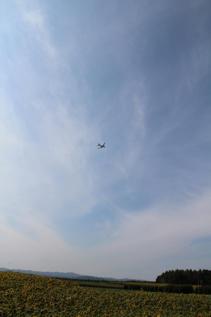 ファイル 103-8.jpg