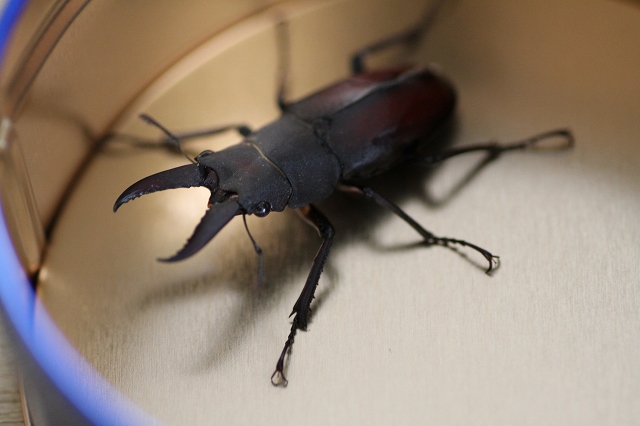 ファイル 105-2.jpg