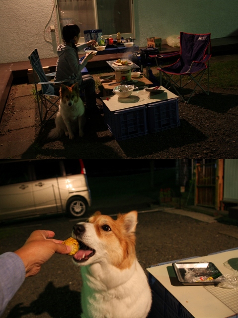 ファイル 105-9.jpg