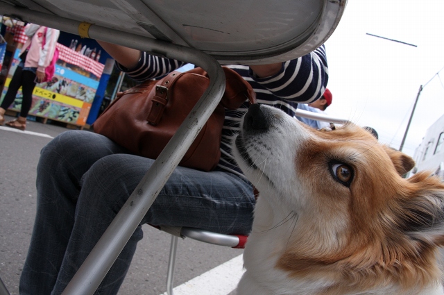 ファイル 107-4.jpg