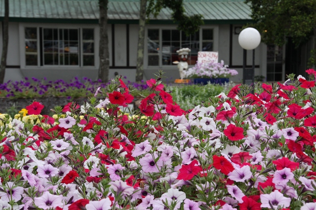 ファイル 107-6.jpg