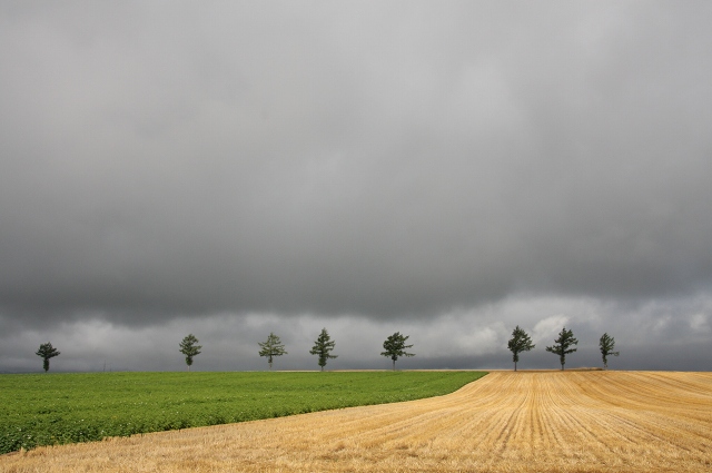 ファイル 108-4.jpg