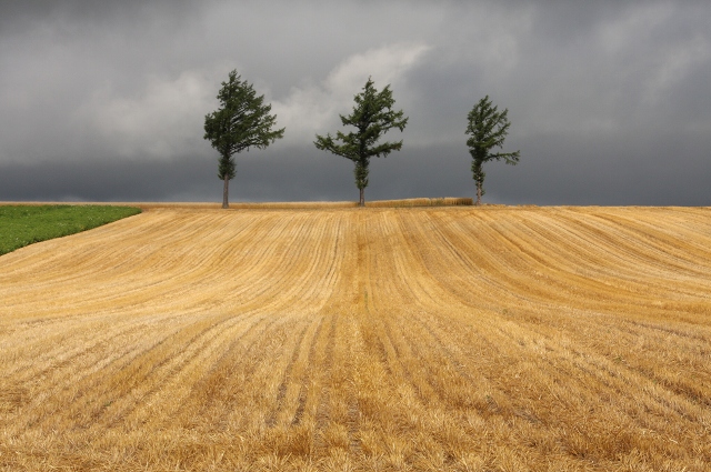 ファイル 108-5.jpg