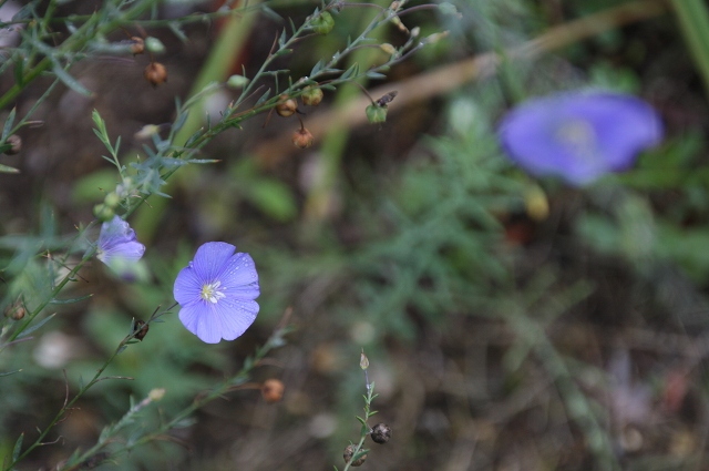 ファイル 109-2.jpg