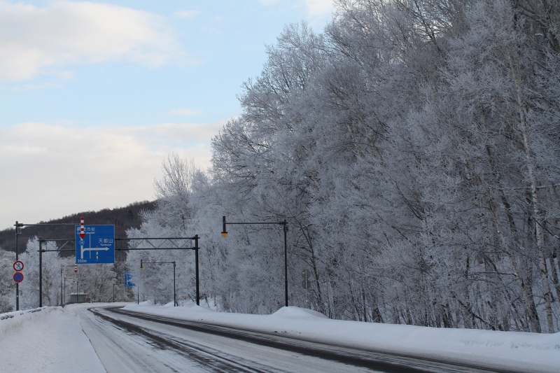 ファイル 11-1.jpg