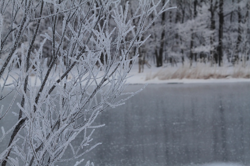 ファイル 11-2.jpg