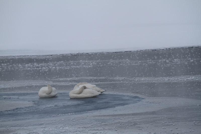 ファイル 11-3.jpg