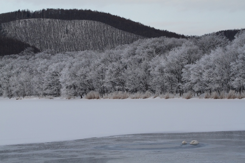 ファイル 11-4.jpg