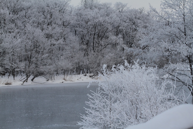 ファイル 11-5.jpg