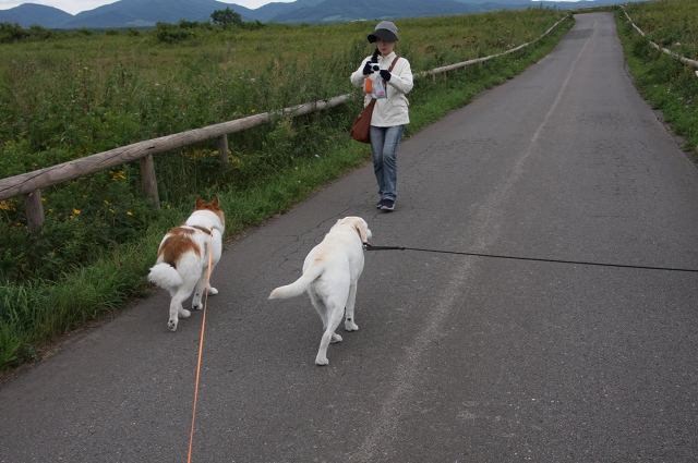 ファイル 110-6.jpg