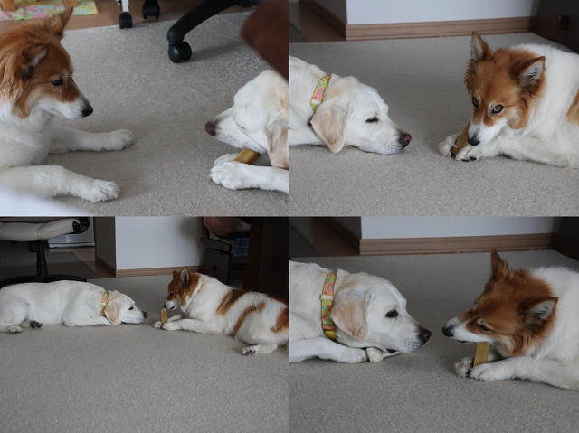 ファイル 110-7.jpg