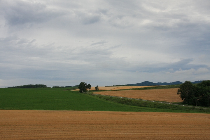 ファイル 110-8.jpg