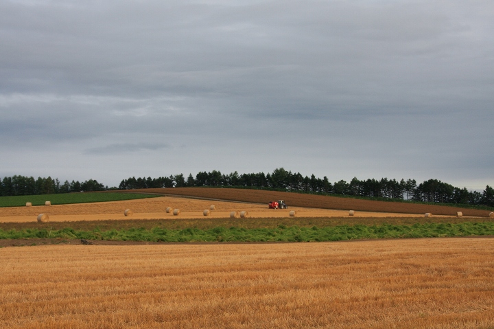 ファイル 111-1.jpg