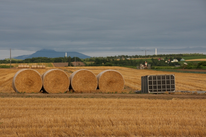 ファイル 111-2.jpg