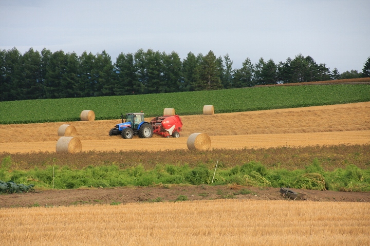 ファイル 111-3.jpg