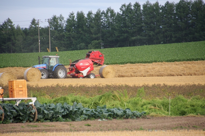 ファイル 111-4.jpg