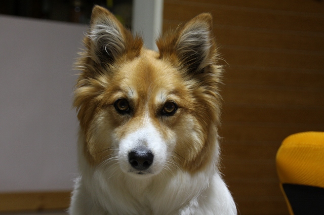 ファイル 111-5.jpg