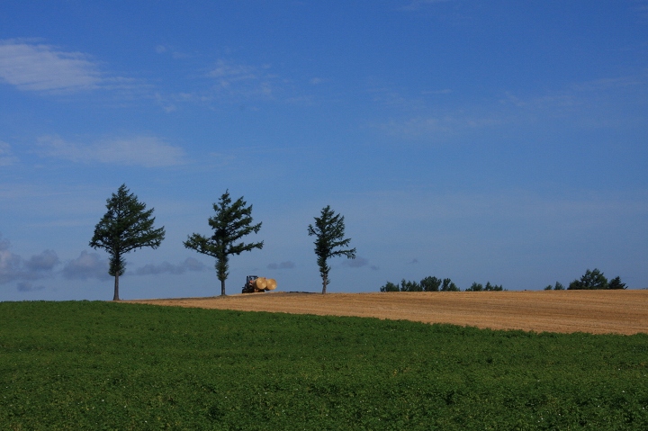 ファイル 112-1.jpg