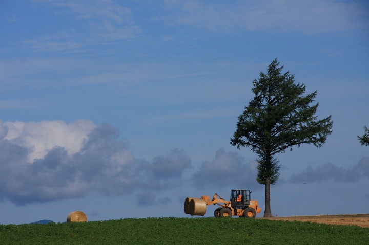 ファイル 112-2.jpg